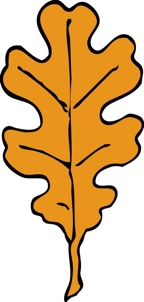 oak leaf outline clipartsco
