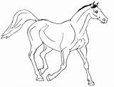 Coloring Pages Horse Print Realistic Horses Printable Popular Wild sketch template