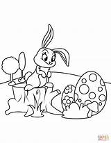 Coloring Easter Bunny Pages Cute Hemp Printable sketch template