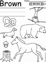Brown Worksheet Color Colors Coloring Worksheets Preschool Kindergarten Drawing Enchantedlearning Bear Print Crayon sketch template