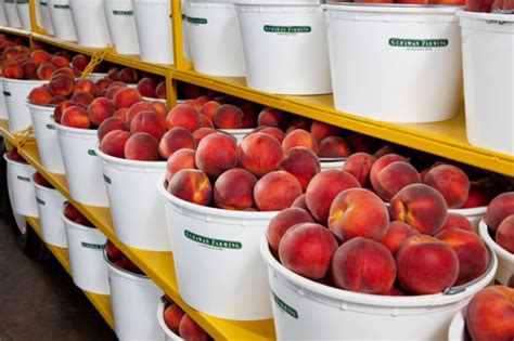 gerawan farming california fresh fruit association   release statements  alrb