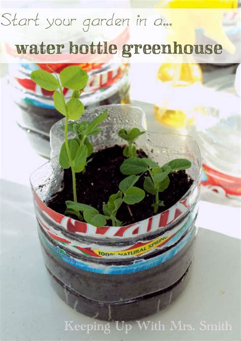 Start Your Garden In A Water Bottle Greenhouse Starting Seeds Indoors