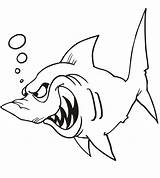 Shark Coloring Sharks Kids Print Pages Printactivities Printables Angry Attack Gif Appear Printed Navigation Only When Will sketch template