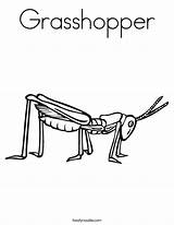 Coloring Grasshopper Pages Cricket Worksheet Beetle Insects Template Noodle Twisty Twistynoodle Built California Usa Library Getcolorings Books Change sketch template