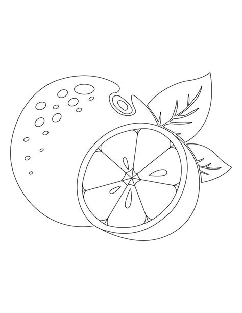 fruits vegetables coloring pages etsy uk