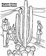 Desert Coloring Pages Sahara Cactus Sonoran Ecosystem Biome Getdrawings Getcolorings Drawing sketch template