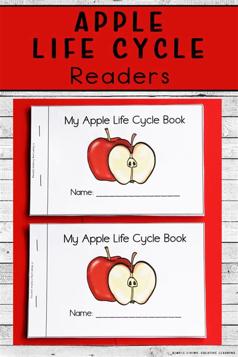 apple life cycle readers simple living creative learning