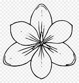 Flower Flowers Stencil Printable Templates Coloring Pages Clipart Transparent sketch template