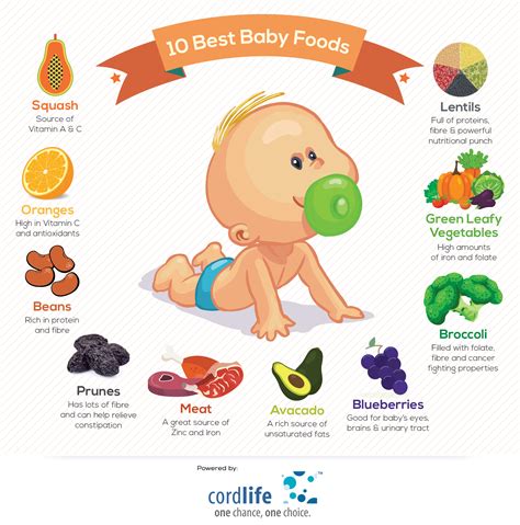 baby foods infographics