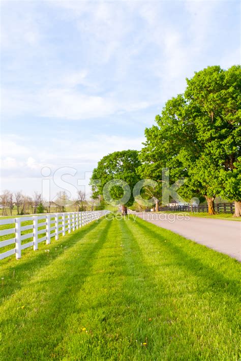 country road stock photo royalty  freeimages