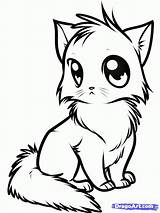 Coloring Cat Pages Cute Kitten Ages Print Pdf sketch template