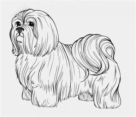 coloring pages dogs coloring pages   printable