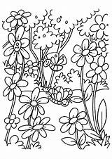 Coloring Pages Flower Printable Spring Flowers Momjunction Kids Beautiful Color sketch template