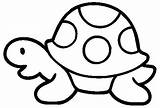 Tartaruga Turtle Coloring Choose Board Pages sketch template