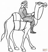 Camel Riding Coloring Pages Camels Horse Printable Drawing Color sketch template