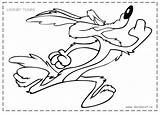 Runner Road Coyote Coloring Looney Tunes Pages Printable Cartoon Drawing Wile Roadrunner Drawings Cartoons Easy Baby Characters Colouring Wylie Getcolorings sketch template