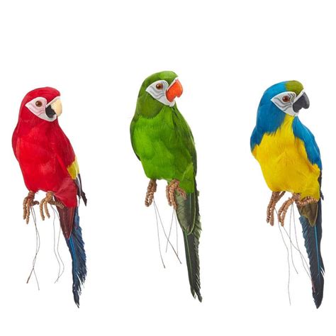 john lewis assorted parrots atjohnlewisretail  colourful parrot  perfect   summer