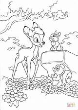 Bambi Thumper sketch template