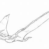 Pteranodon Coloring Pages Printable Getcolorings Flying Designlooter sketch template