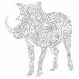 Savannah Coloring Millie Marotta Wild Warthog Colouring Book Pages Adventure Books Amazon Designlooter Choose Board Getcolorings 2560px 2560 Printable Noted sketch template