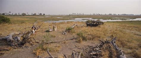 andbeyond sandibe okavango safari lodge okavango delta