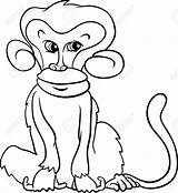 Primate Coloring Designlooter Monkey Animal Illustration Cartoon Vector Cute Book Stock 1191 77kb 1300px sketch template