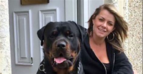 monster jailed for strangling sister s rottweiler and dumping body in