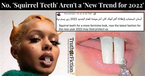 squirrel teeth fashion trend truth  fiction