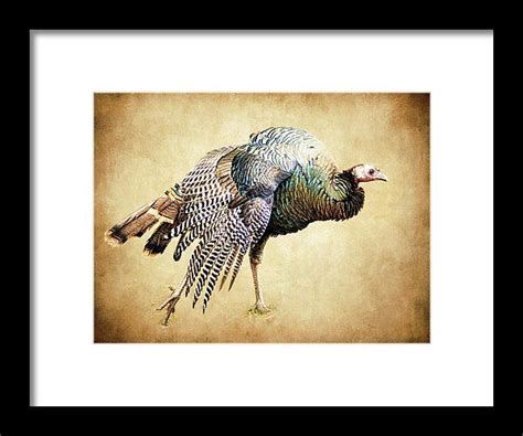 wild turkey framed print by steve mckinzie framed prints print fine
