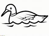 Bebek Mewarnai Berenang Uccelli Ptica Rata Colorat Goose Planse Marimewarnai Ptice Bojanke Belum Paud Copilul Crtež Alte Stampa sketch template