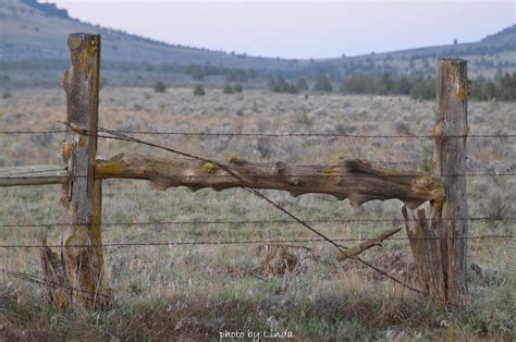 What To Do With Old Fence Posts Easy Craft Ideas