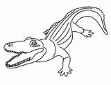 Alligator Coloring Pages Printable Caiman American Template Cartoon Cute Color Sheet Click Getcolorings Print Fabtemplatez Getdrawings sketch template