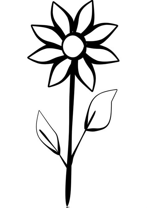 flower coloring pages  personalizable coloring pages