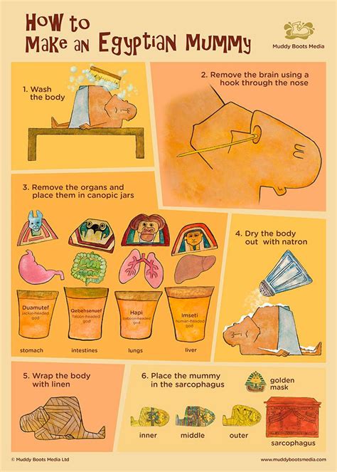 What Are The 8 Steps Of Mummification Process Artofit