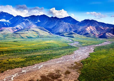 discover denali national park preserve sunset magazine