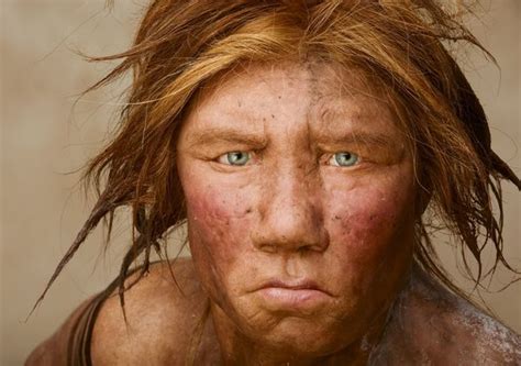 Like Some Other Neanderthals Wilma A Dna Based