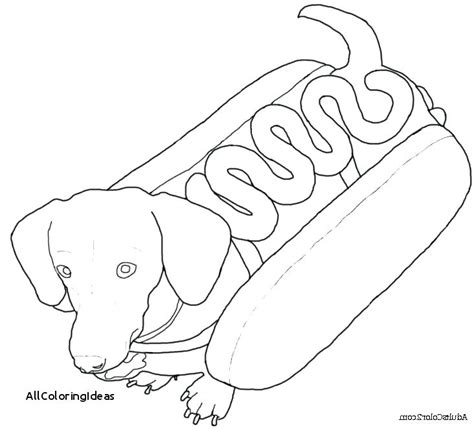 weiner dog coloring page  getdrawings