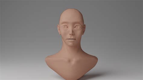 bust sculpting and anatomy — polycount