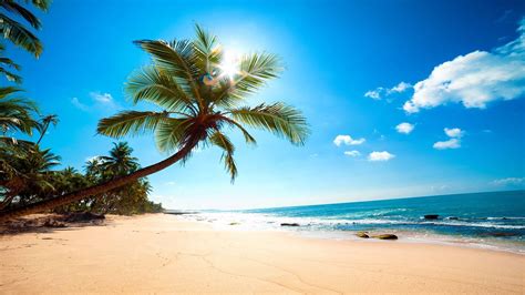 hd hintergrundbilder strand palmen meer sand sonne sommer urlaub