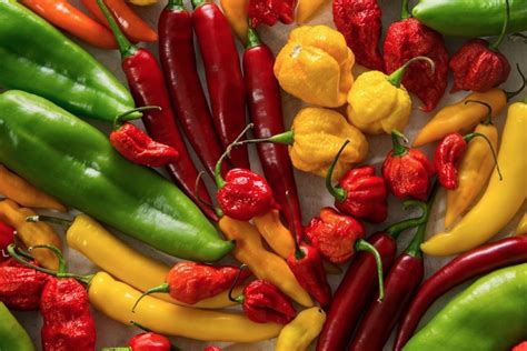 chile peppers  ultimate guide real food  plants