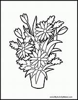 Pflanze Ausmalbilder Ausmalbild sketch template