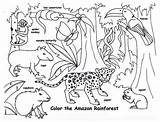 Rainforest Coloring Animals Pages Tropical Animal Kids Amazon Endangered Drawing Printable Real Color Life Print Capybara Getcolorings Drawings Colorings Getdrawings sketch template