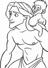 Tarzan Coloring Monkey Pages Wecoloringpage sketch template