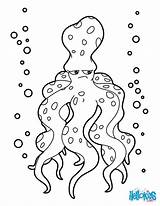 Colorir Laut Pulpo Mewarnai Hewan Sketsa Animales Gurita Poulpe Octopus Binatang Hellokids Comemorativas Datas Desenhos Dibujo Grognon Raros Tk Marinos sketch template