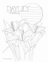 Coloring Daylily Centering sketch template