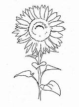 Sonnenblume Blumen Sonnenblumen Ausmalbild Ausdrucken Ausmalen Malvorlagen Kostenlos Blume Stiel Blüte Gemerkt sketch template