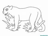 Jaguar Pantera Mewarnai Kolorowanki Panteras Realisticcoloringpages Animais Dla Desenhosinfantis Galeria Pintar Rainforest Felinos Salvajes sketch template