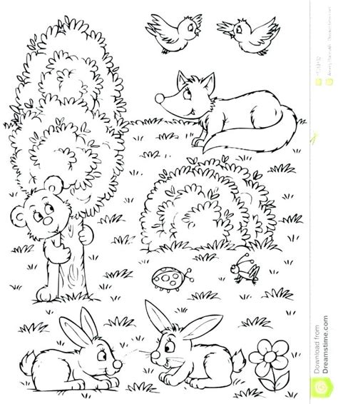 woodland coloring pages  getdrawings