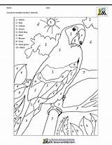 Pages Number Color Macaw Math Coloring Scarlet sketch template