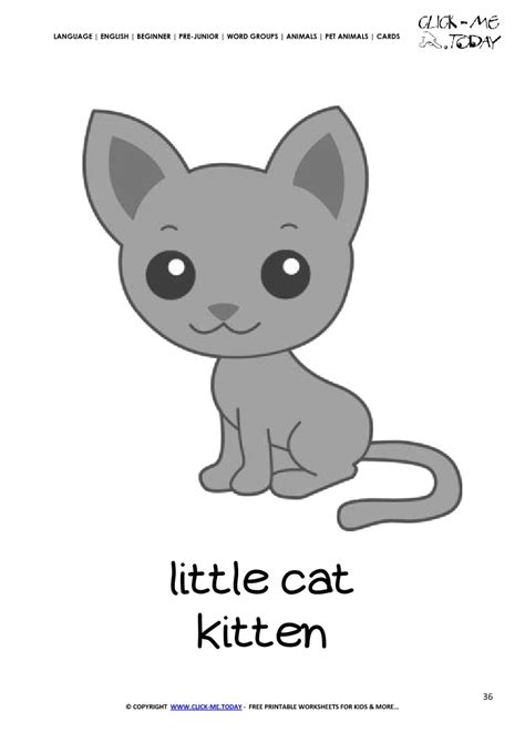 printable pet animal kitten wall card cat flashcard